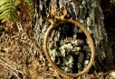DSC_0316-900X610
