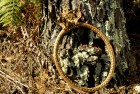 DSC_0316-900X610