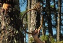 DSC_0322-900x610