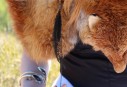 IMG_0449900x610