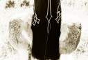 IMG_0650copie2900x610