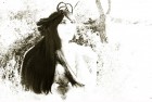 IMG_070222900x610