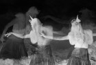 montage8900x6102